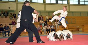 Sport in Kupferdreh Karate Taekwondo